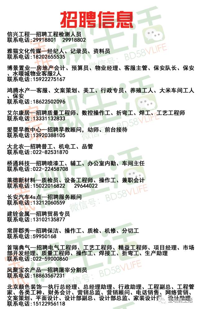 武清最新招聘信息汇总，启程探索自然美景，寻找内心平和的乐园