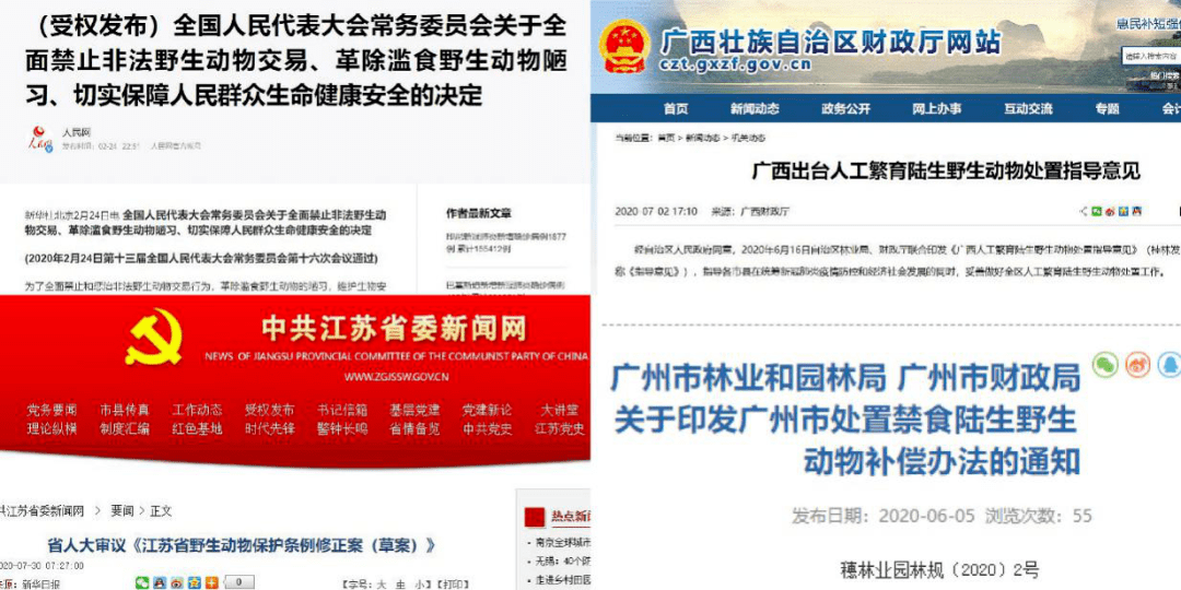 汽车装饰用品销售 第311页