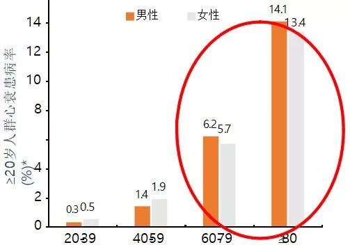 最准一肖一.100%准,全身心数据指导枕_创意版16.627