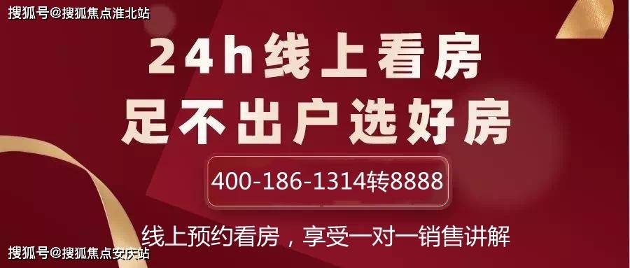 2024年天天开好彩大全,定量解析解释法_网络版27.619