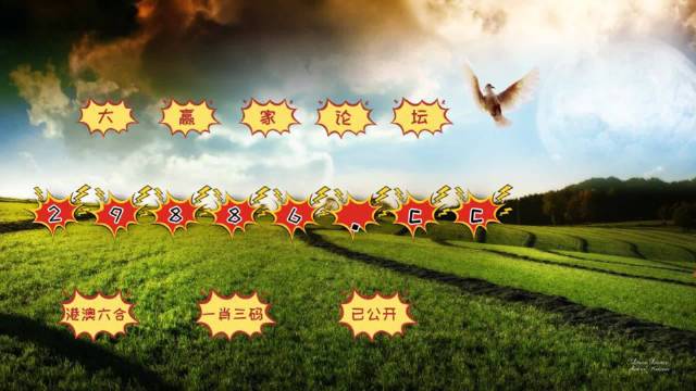 旧澳门开奖结果+开奖记录,实地验证实施_影音版4.975