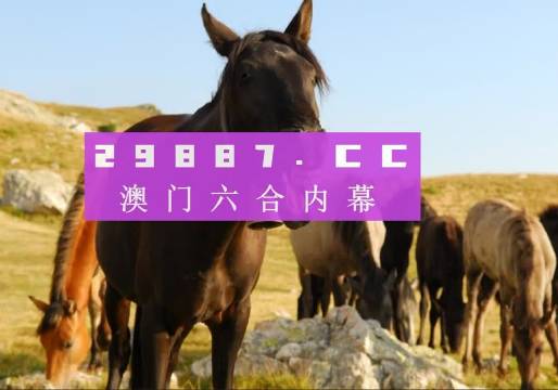 澳门管家婆正版资料免费公开,专业地调查详解_通行证版26.397