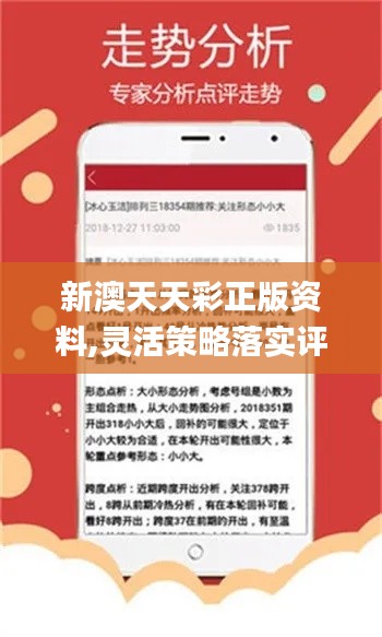 新澳六开彩资料2024,实践调查说明_灵活版19.460