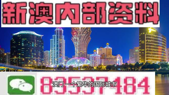 新澳历史开奖最新结果查询今天,实地观察解释定义_跨界版49.217