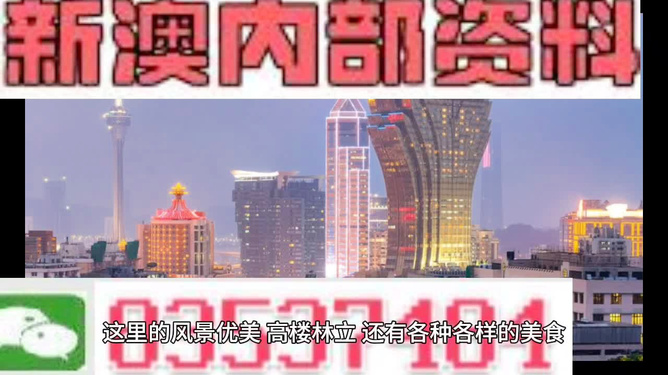 新澳门精准资料期期精准,科学分析严谨解释_精密版4.511