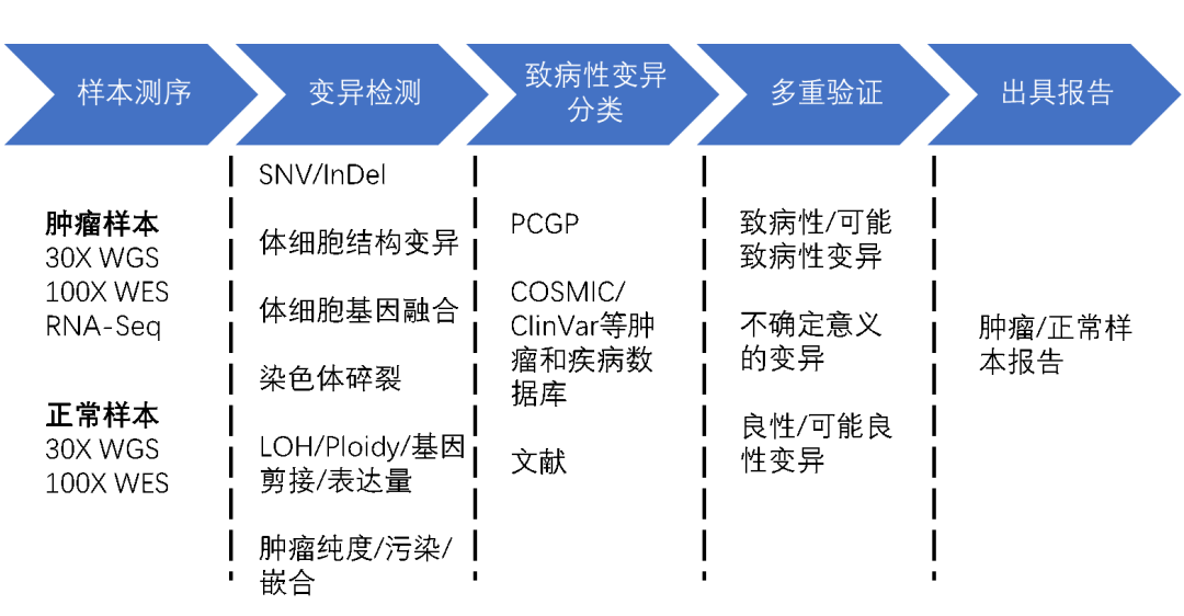 澳门三肖三码精准100%的背景和意义,实证分析细明数据_妹妹版52.405