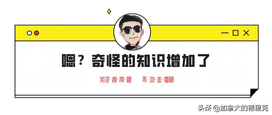 最新确诊人数变化带来自信与希望，共同拥抱未来