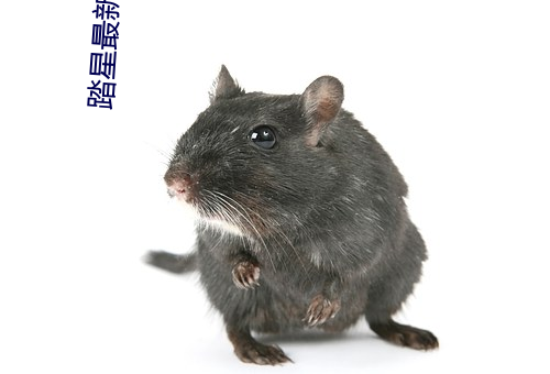 汽车销售服务 第199页