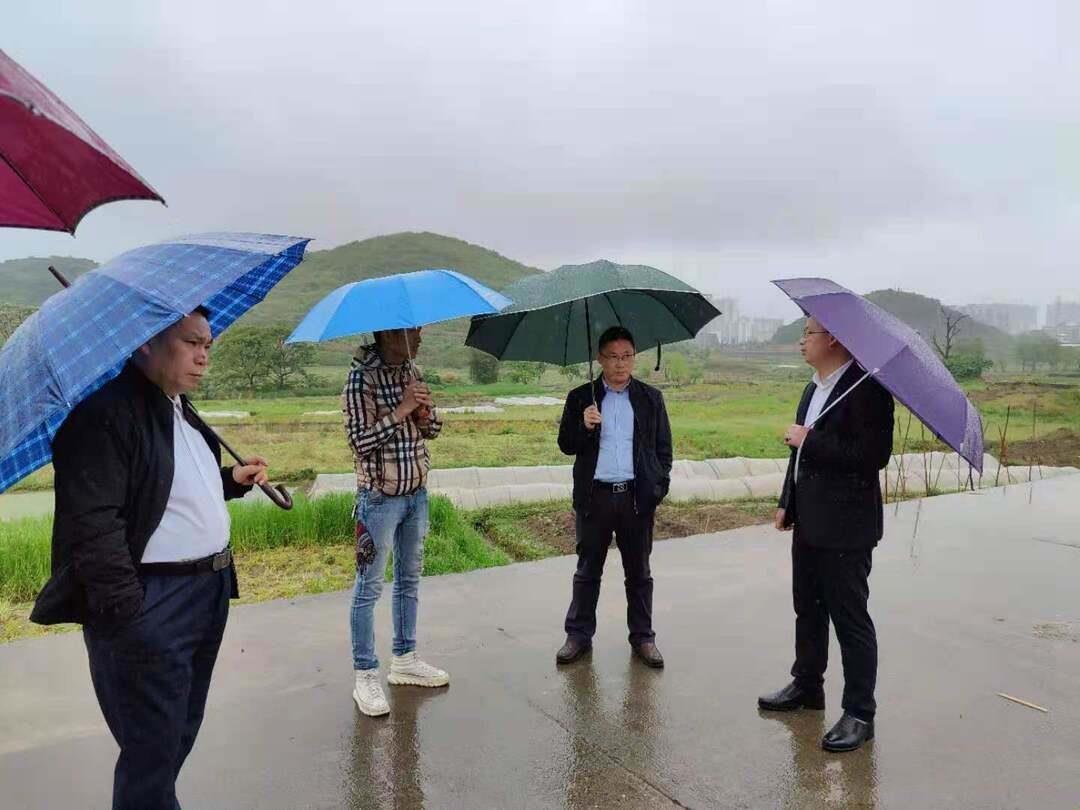 湖南江永最新资讯速递
