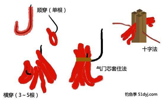 最新鱼钩展示，揭秘现代渔具革新奥秘