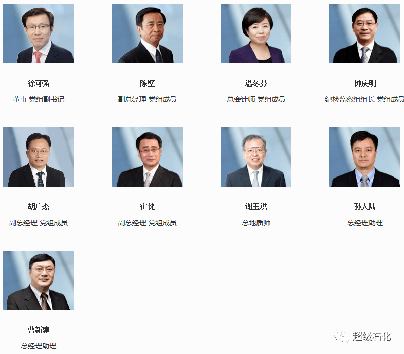 中石化领导排名揭晓，石化行业领导力格局揭秘