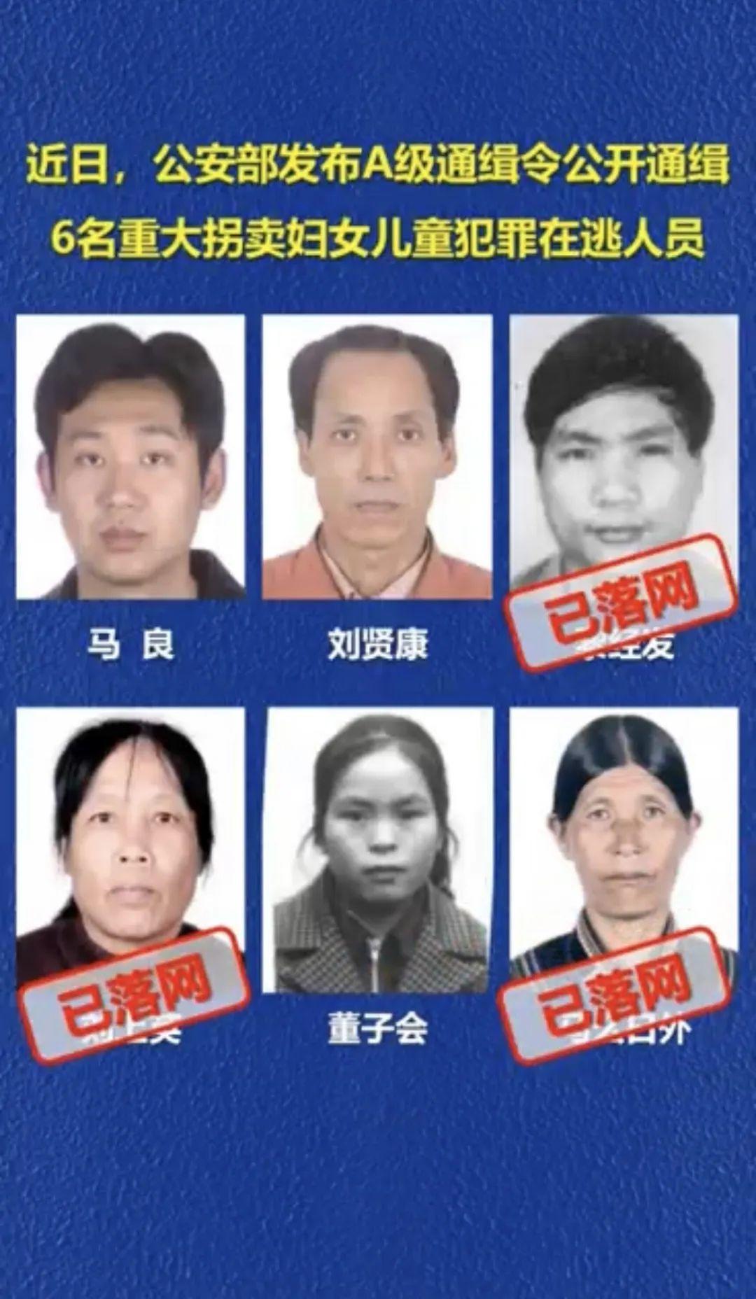 “AJ最新疫情动态”,🌸🌼AJ最新疫情动态🌼🌸