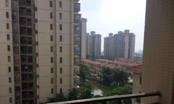佛奥阳光花园最新价格动态，家园变迁与学业成就下的自信与成长之路
