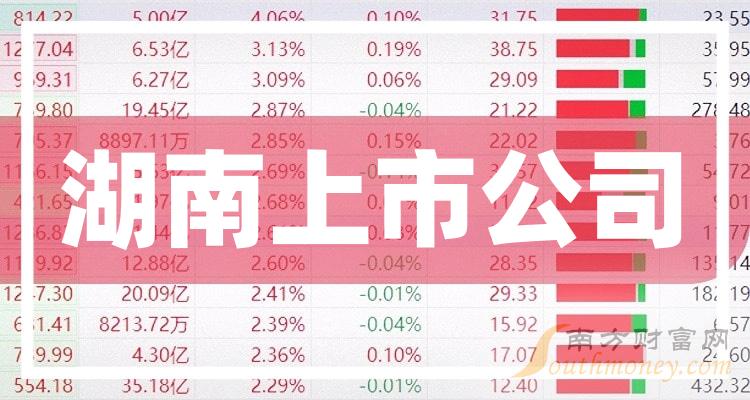 长沙有多少家上市公司,长沙上市公司探秘，巷弄深处的隐藏瑰宝
