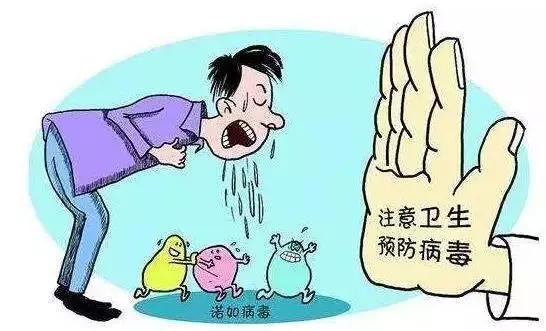 山东疫情最新动态及步骤指南概览