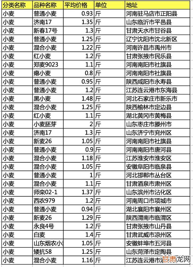 周口小麦价格最新行情动态更新🌾