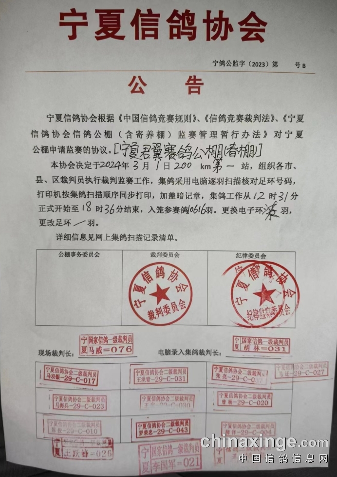 吴忠信鸽协会最新通告，飞翔的温情，缔结友情纽带
