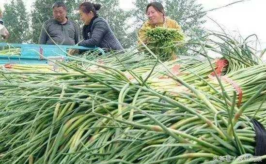 汽车装饰用品销售 第73页