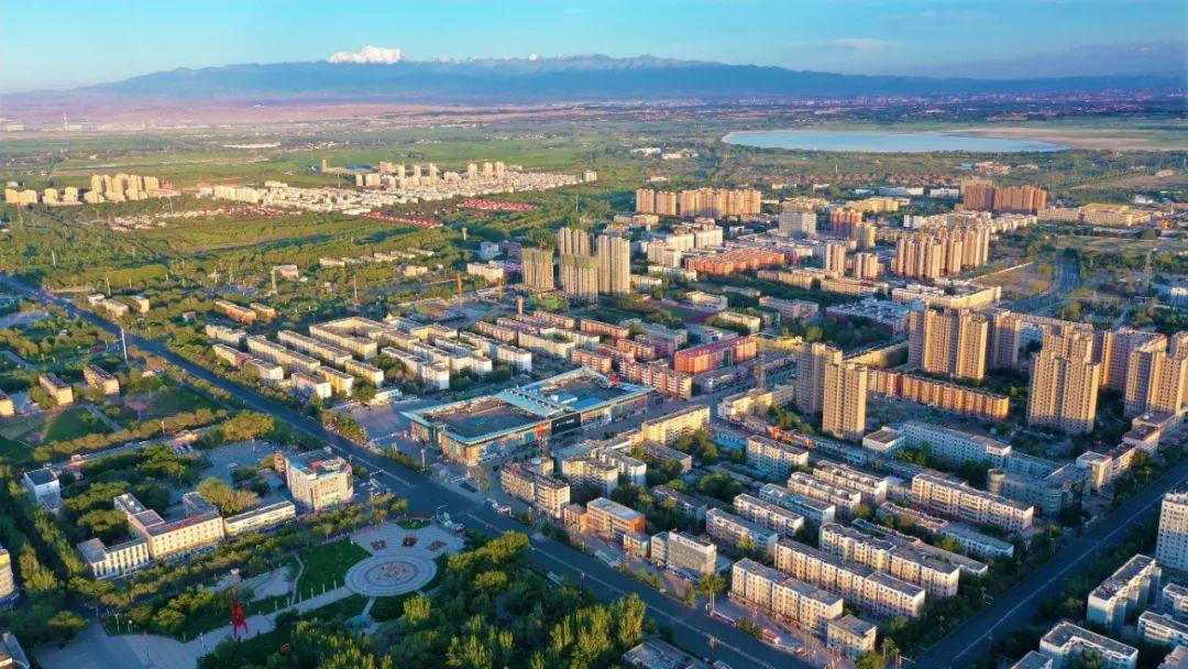 郁金香小姐新篇章，探索未来的无限可能