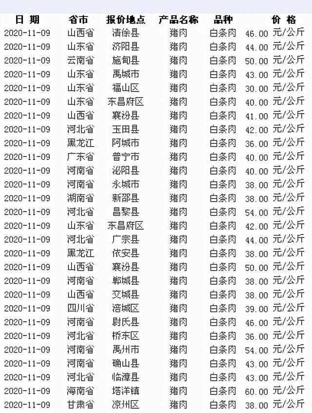 猪肉之旅，探寻今日猪价，寻求内心平静之旅