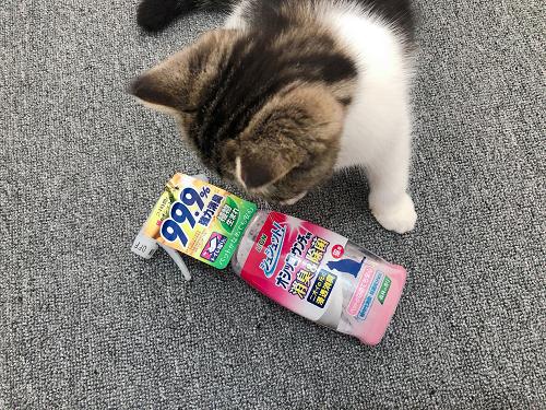 汽车装饰用品销售 第19页