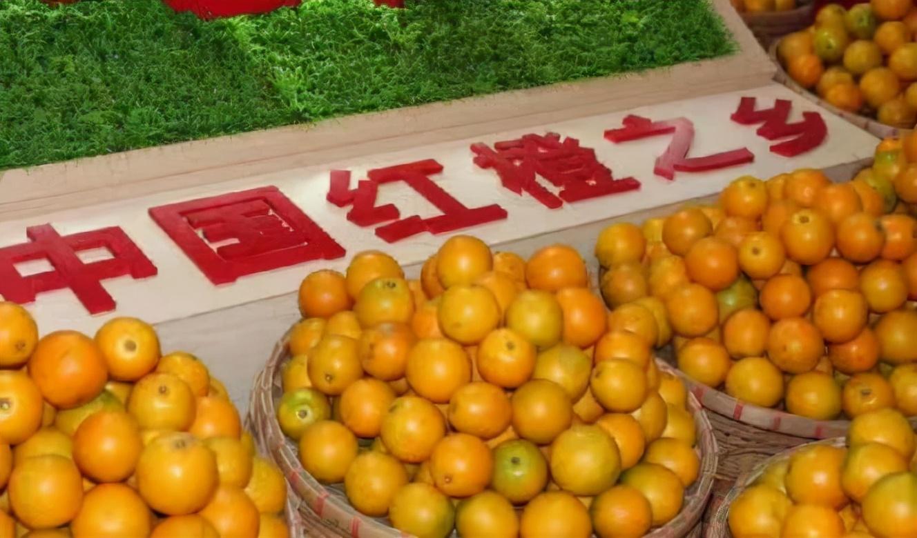 探索巷弄深处的独特小店，金点子最新惊喜之旅