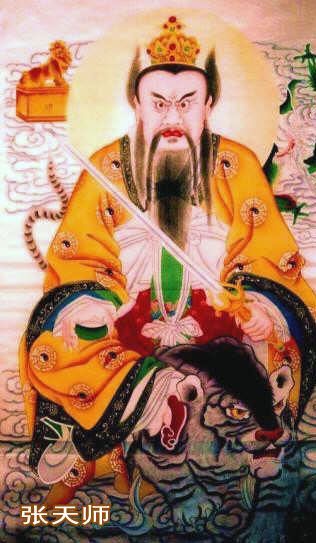 最新天师的日常趣事揭秘