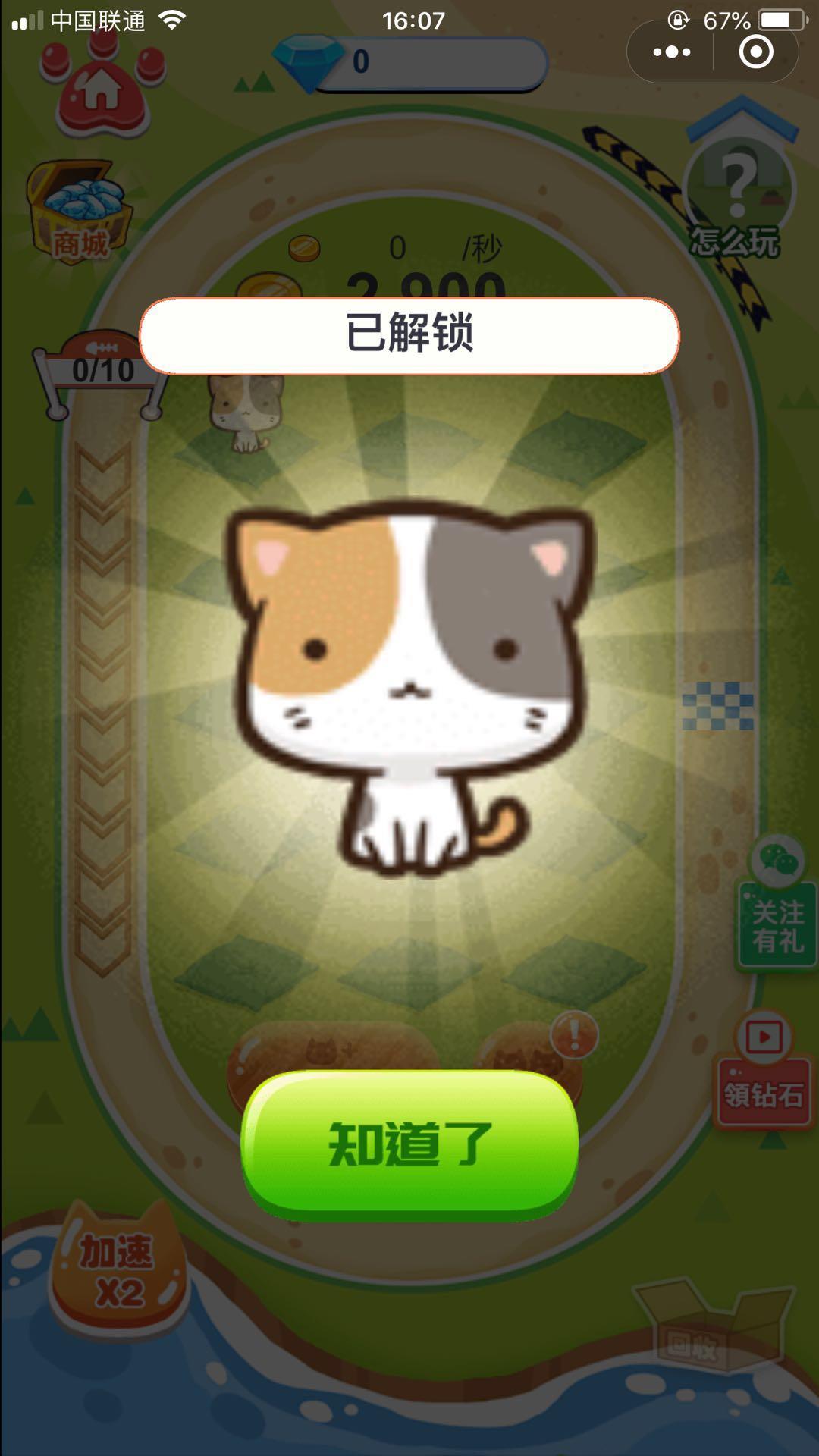 高科技猫咪破解产品重塑猫奴生活，科技魅力揭秘