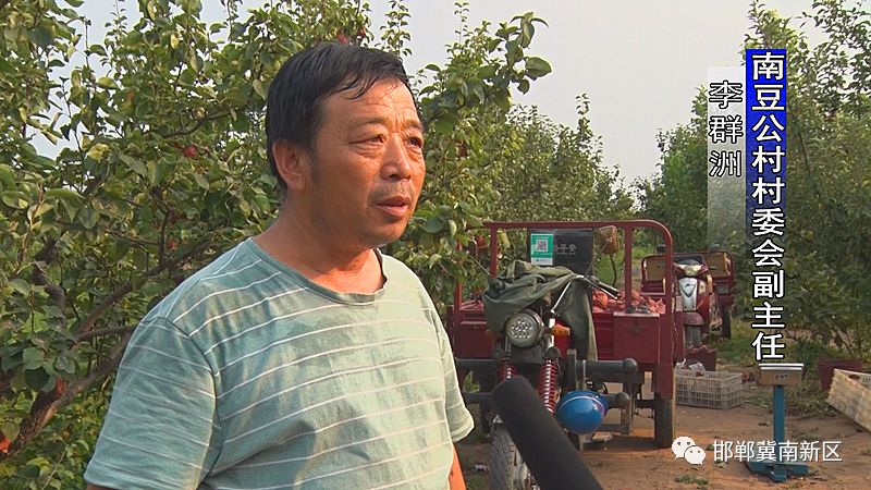 李群洲的日常趣事与友情的温馨纽带最新报道